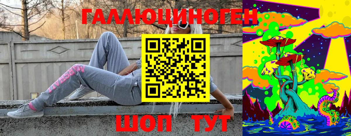 Псилоцибиновые грибы Psilocybe  Вход с VPN  Псилоцибиновые грибы мухоморы  Владивосток 
