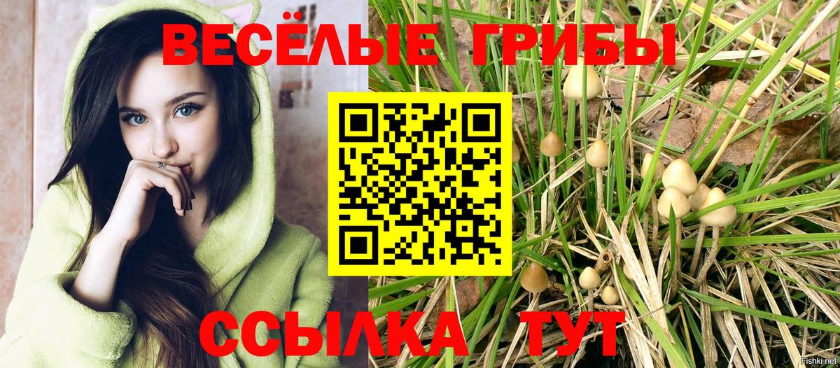 Псилоцибиновые грибы Psilocybe Владивосток